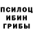 Псилоцибиновые грибы Psilocybe MODESTO