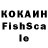 COCAIN Fish Scale NikoR_